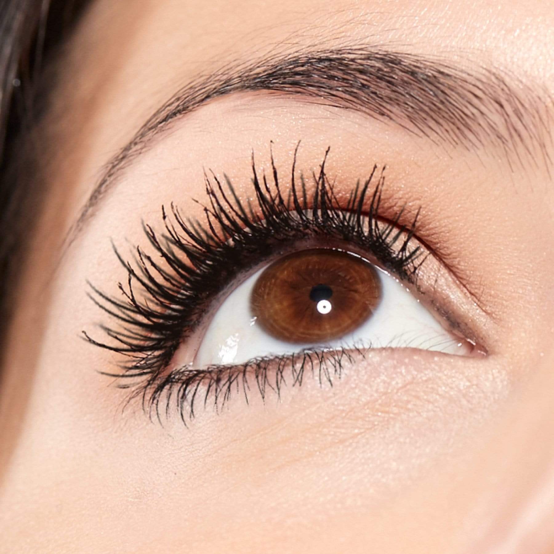 MIRENESSE PACK EYE Lash Whip Twin Secret Weapon 24hr Tubing Mascara Kit