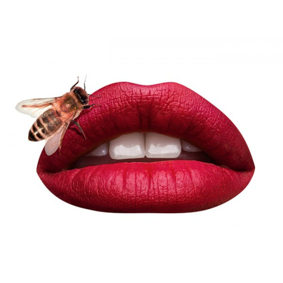 MIRENESSE LIP 7g / 0.24oz / 10. Tokyo Mattfinity Matte Lip Rouge Mousse 10. Tokyo
