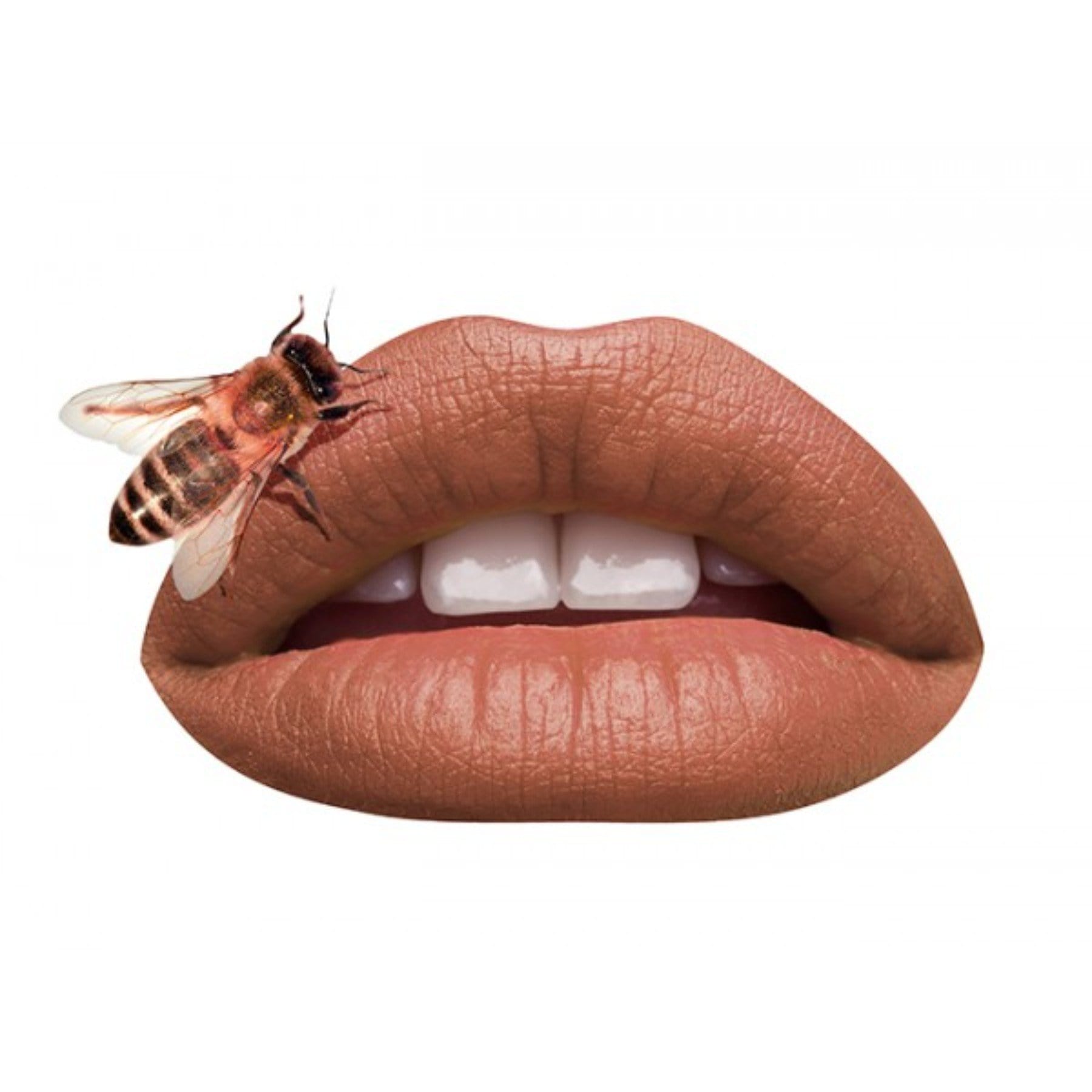MIRENESSE LIP 7g / 0.24oz / 9. Milan Mattfinity Matte Lip Rouge Mousse 9. Milan
